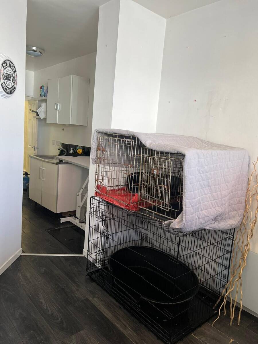 Dog Groomers near Birkenhead town centre