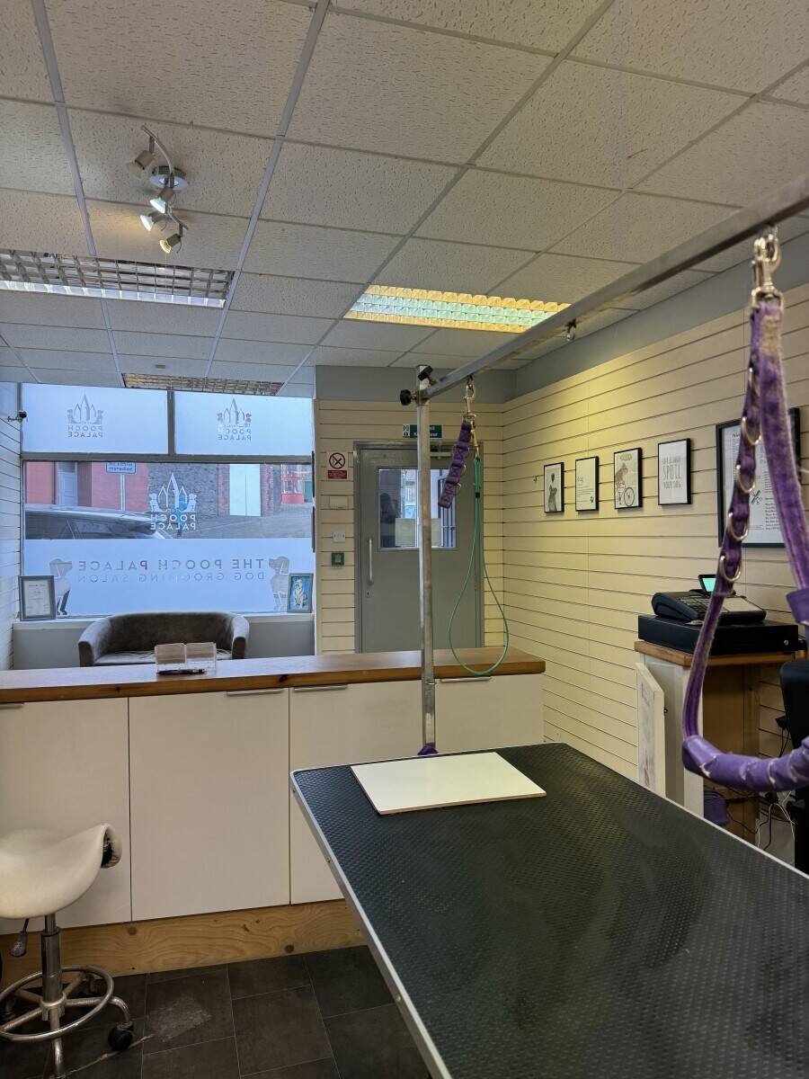 Dog grooming business for sale Tonypandy  Photo 9