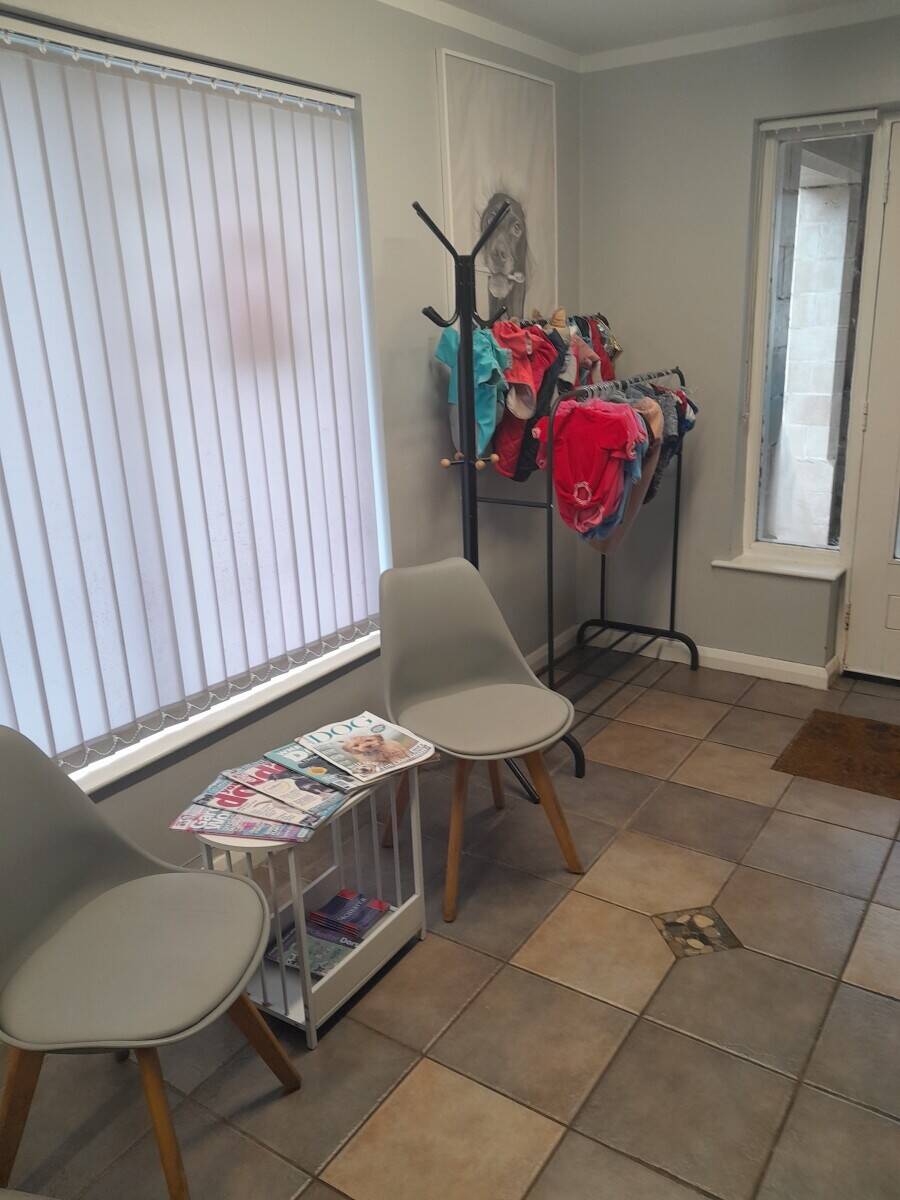 Doggie Wash and Grooming in Dorchester