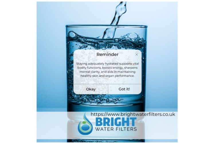 Online Water Filtration Systems Supplier
