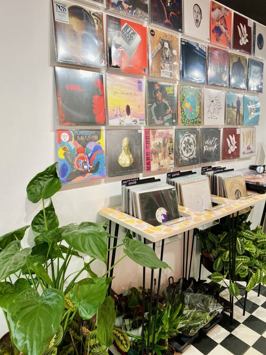 Shrubs & Dubs! The first plant and record shop! Photo 8