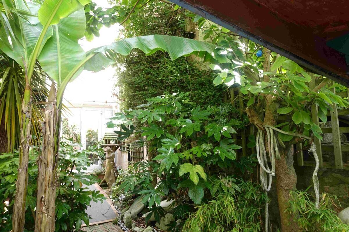 Stylish Seaside Guest House with Sub-Tropical Private Garden For Sale in Weymouth Photo 9