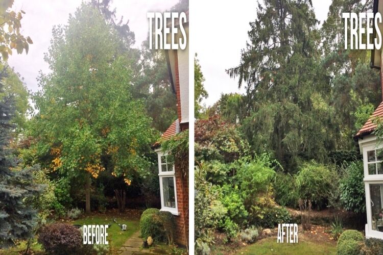 Relocatable Landscape Gardening Business