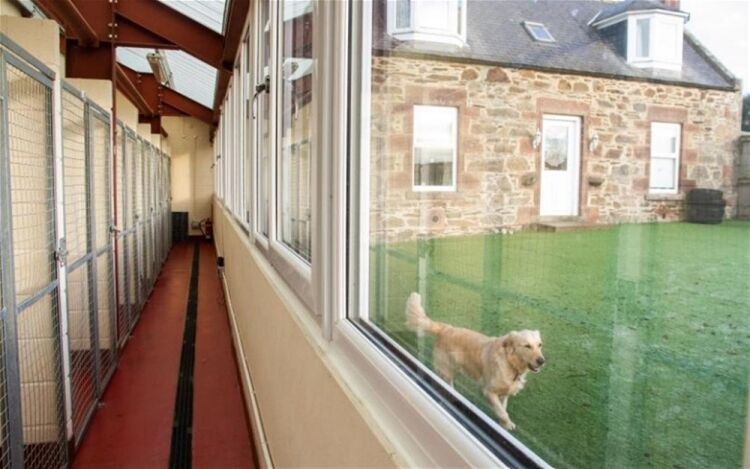 LUXURY BOARDING KENNELS WITH PRIVATE 4 BED PROPERTY IN ABERDEENSHIRE