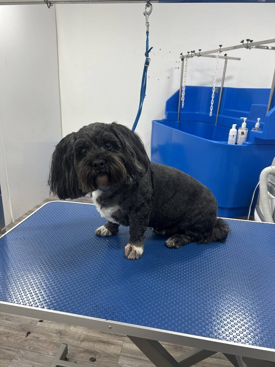 Pets Pantry Dog Boutique and Spa