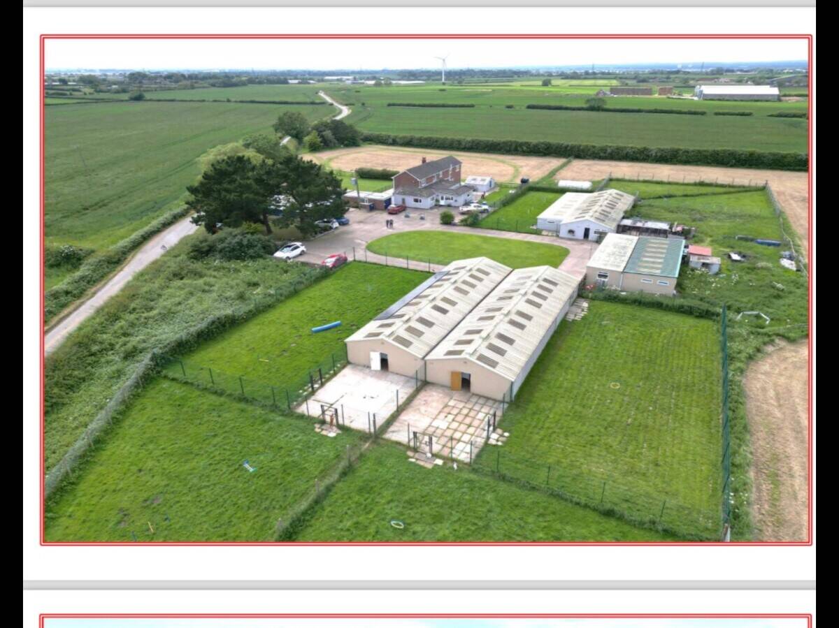 5 ⭐️ Kennels & Cattery set in 6 acres of countryside