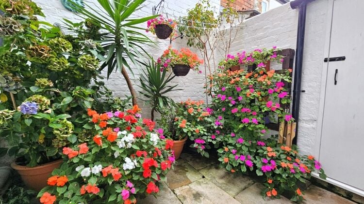 Home & Income B&B - Sea & Harbour Views, Weymouth Photo 9