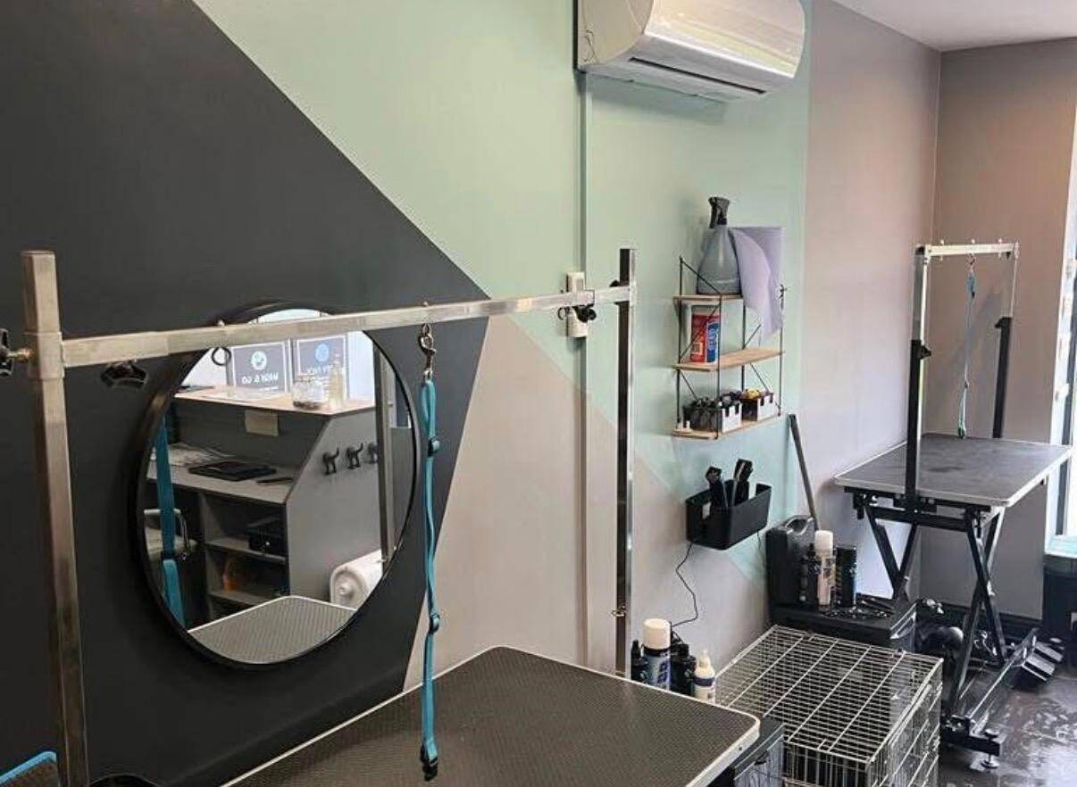Established Dog Grooming Spa in West Yorkshire
