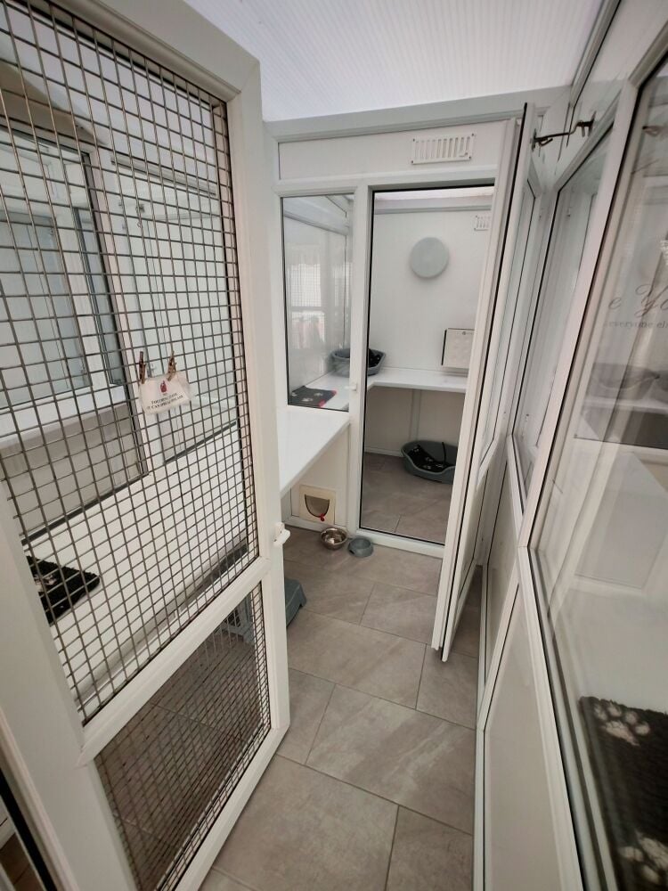 5-Star Licensed Cattery - Capacity for 30 Cats - Nottingham (Reduced for quick sale) Photo 9