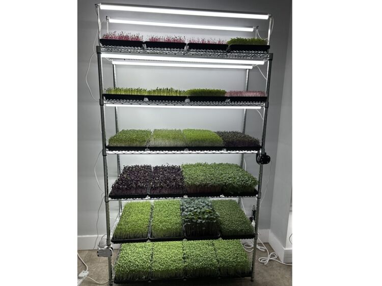 Home-Grown Opportunity – Profitable Indoor Microgreens Farm