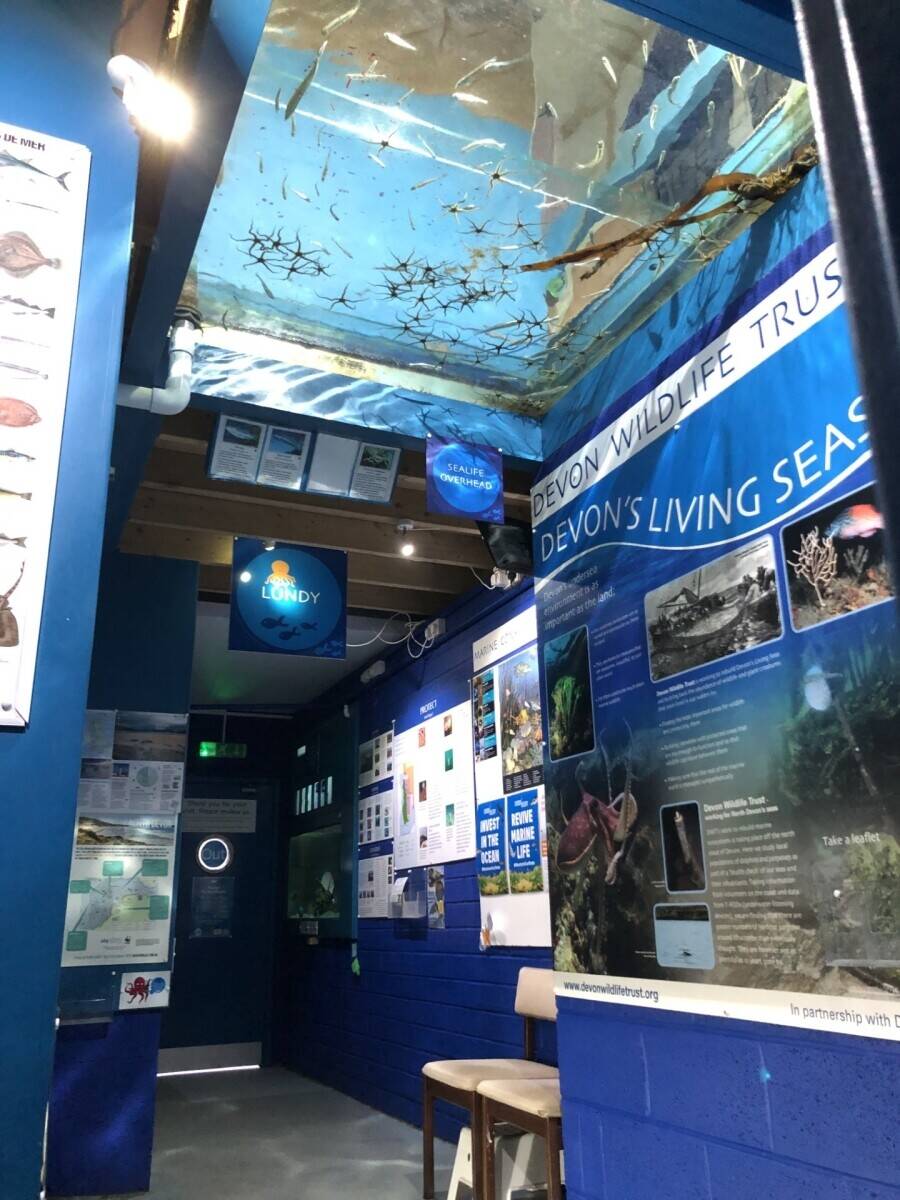 Award Winning & Unique Aquarium with Cafe & Gift Shop - North Devon Seaside Town