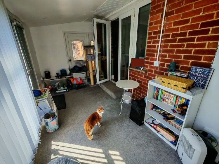 5-Star Licensed Cattery with Freehold Bungalow - Eastwood, Nottingham Photo 9