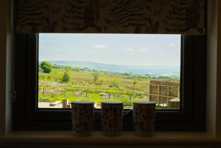 ECO-GLAMPING BUSINESS, RESIDENTIAL PROPERTY AND ORGANIC SMALLHOLDING