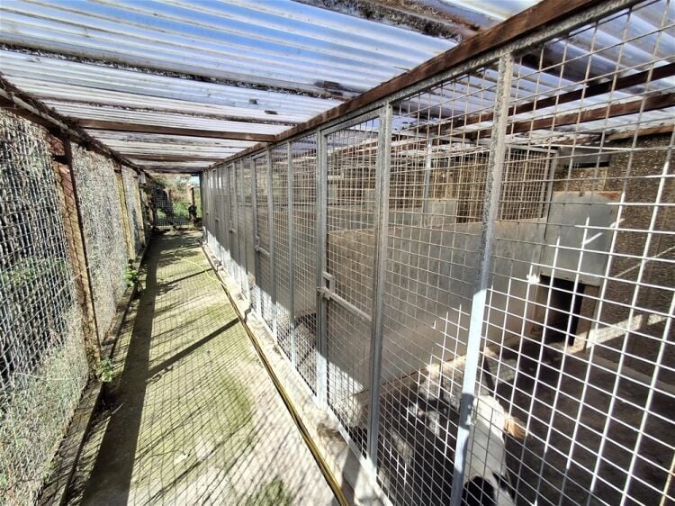Kennels, Cattery & Equestrian businesses For Sale in Poulton-le-Fylde Photo 9