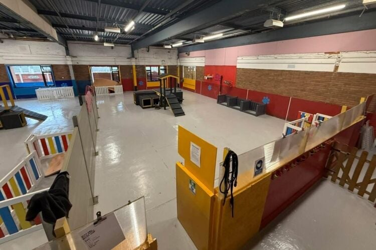 Established Doggy Day Care - Leigh