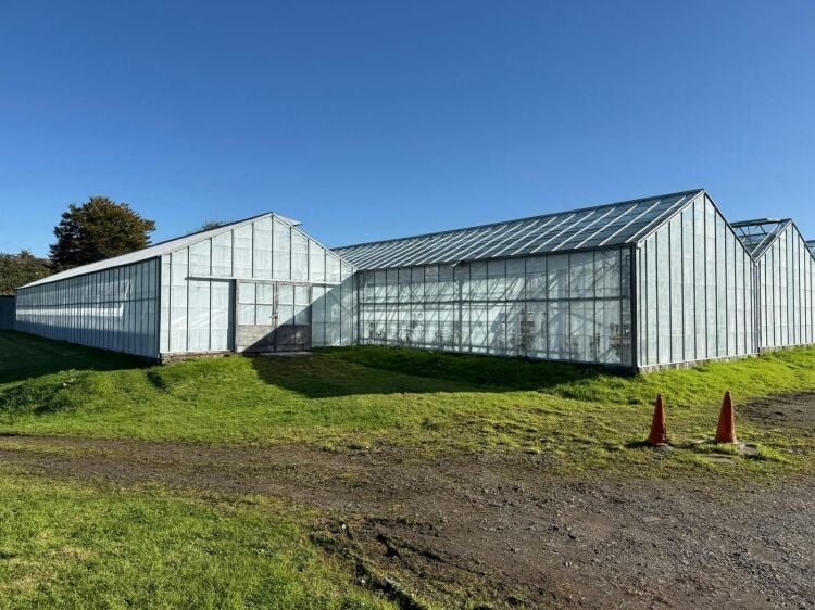 Family-run nursery and plant centre for sale in Mauchline East Ayrshire Photo 9