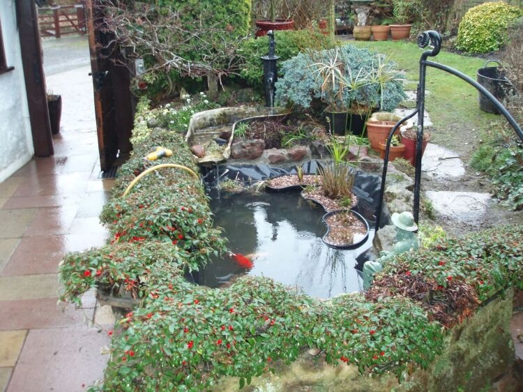 GARDEN POND MAINTENANCE & INSTALLATION Photo 9