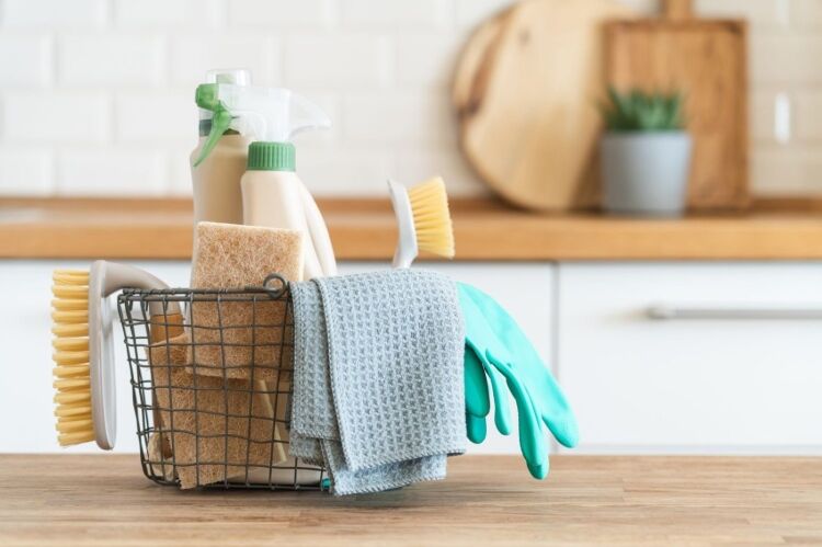 Established Cleaning Franchise - London