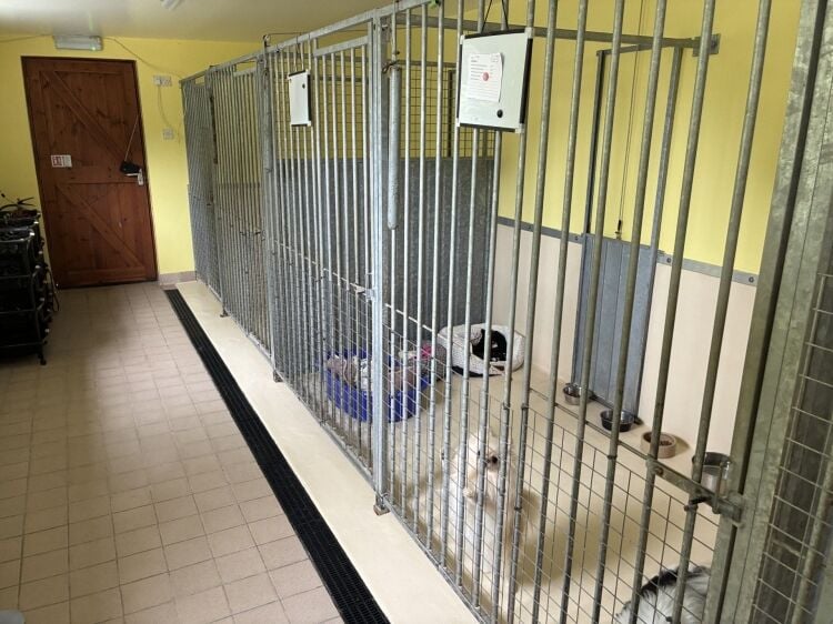 Highly Rated Boarding Kennels and Cattery with detatched 5 Bedroom House Photo 9